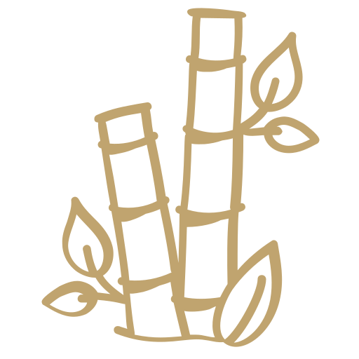 bamboo