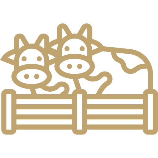 cow